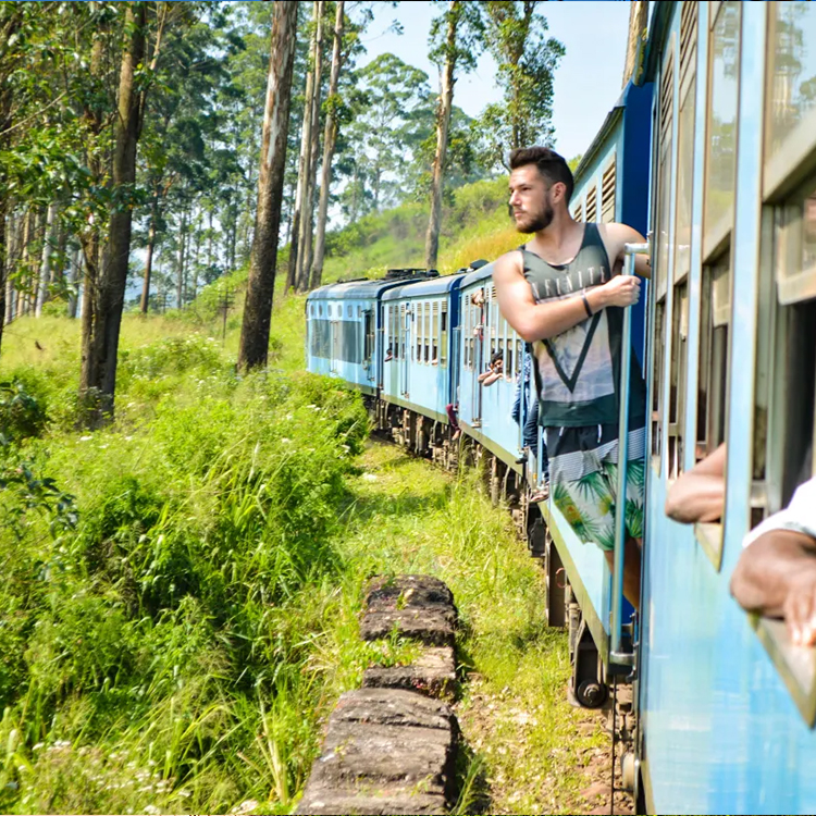 ella train ride