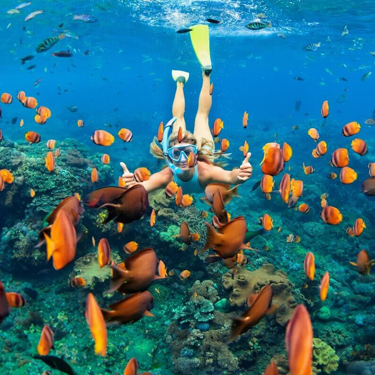 trinco diving