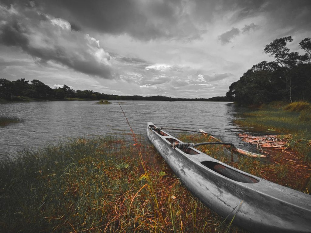 pexels photo 29461997.jpeg